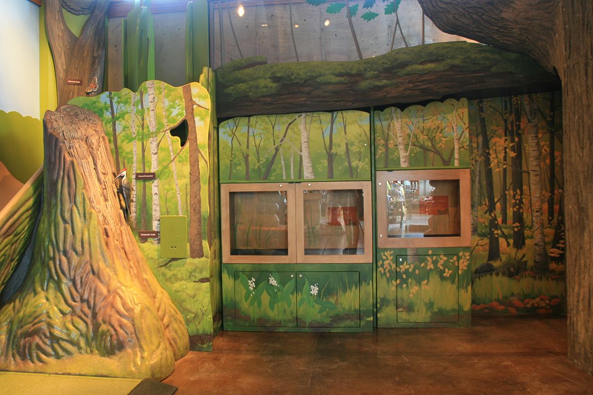 animal display cabinets